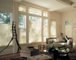Duette Honeycomb Window blinds and shades