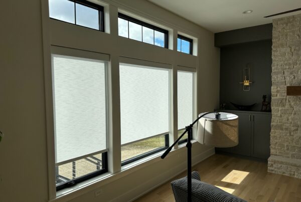 hunter Douglas designer roller shades in a modern family room. installed in Elburn, IL by Ogden Blinds