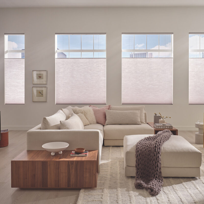 Hunter Douglas Applause Cellular Shades In cozy pink living room