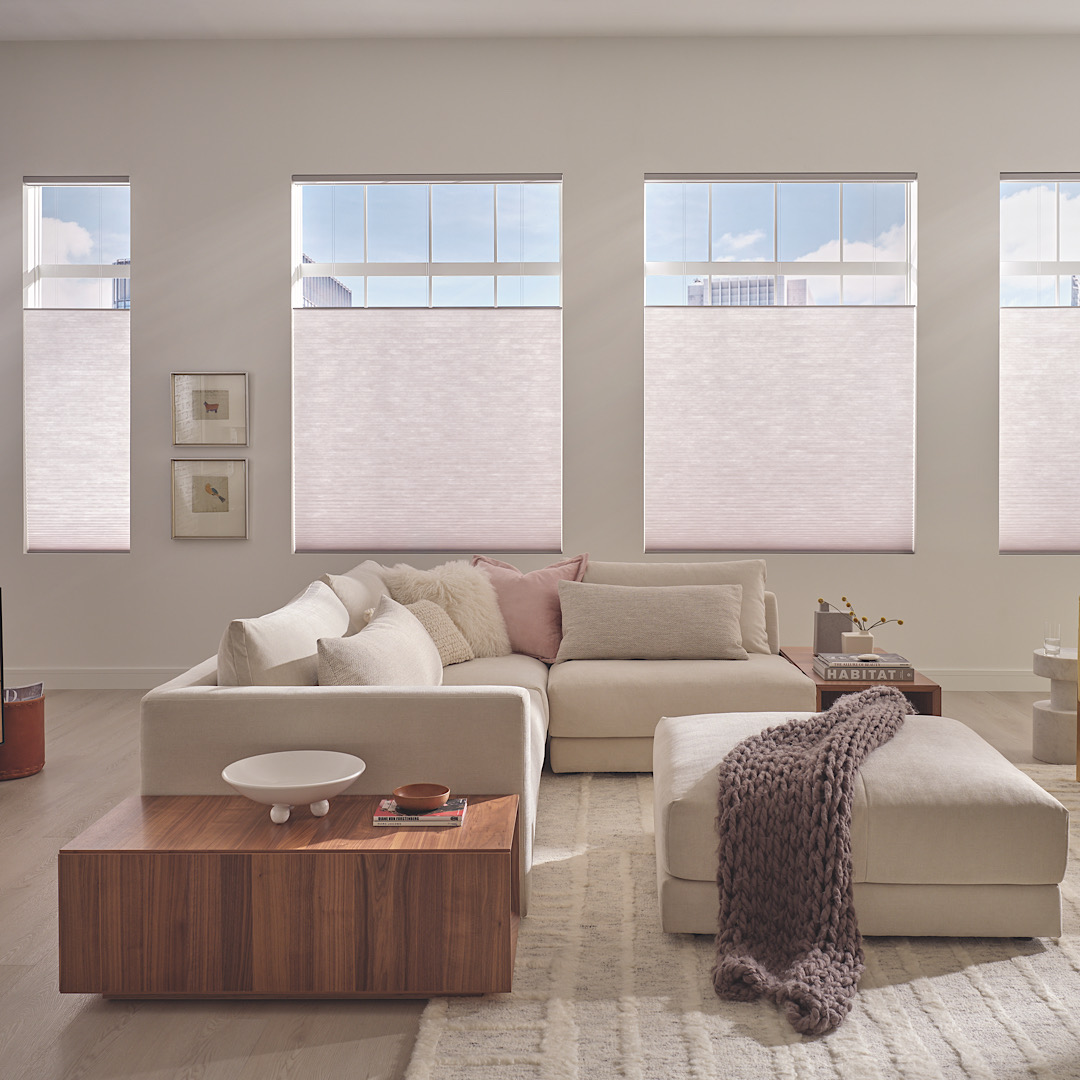 Hunter Douglas Applause Cellular Shades In cozy pink living room