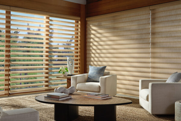 Hunter Douglas blinds