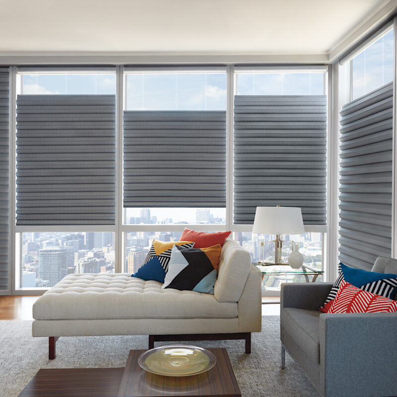 Hunter Douglas top down bottom up