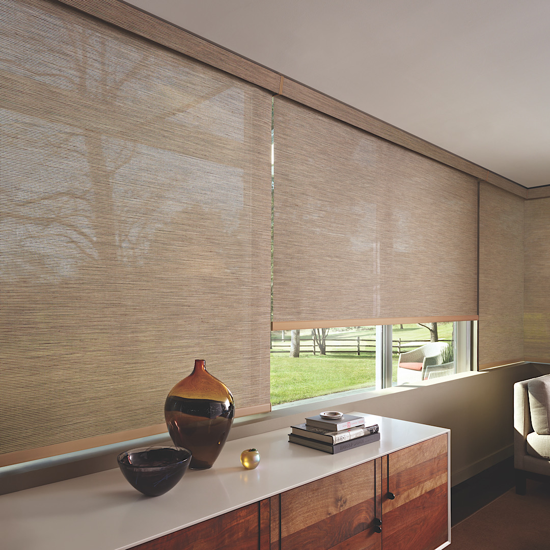 Designer screen shades by hunter douglas in brown