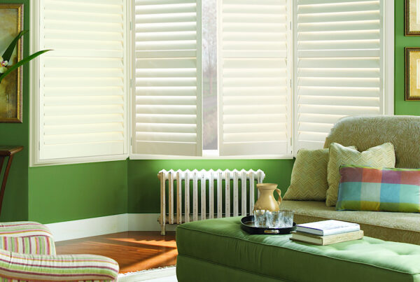 Hunter douglas newstyle shutters in green living room