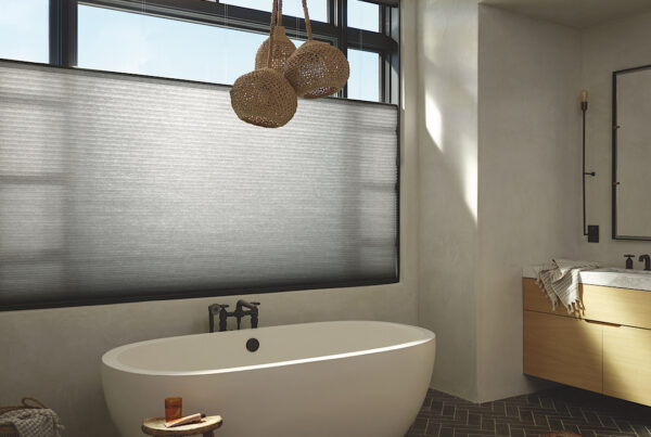 Hunter douglas cellular shade bathroom