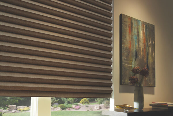 Hunter Douglas dark brown window shade
